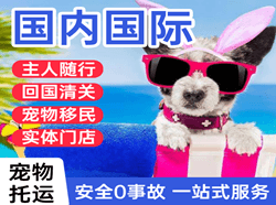 浪头航空物流国际宠物托运 【国